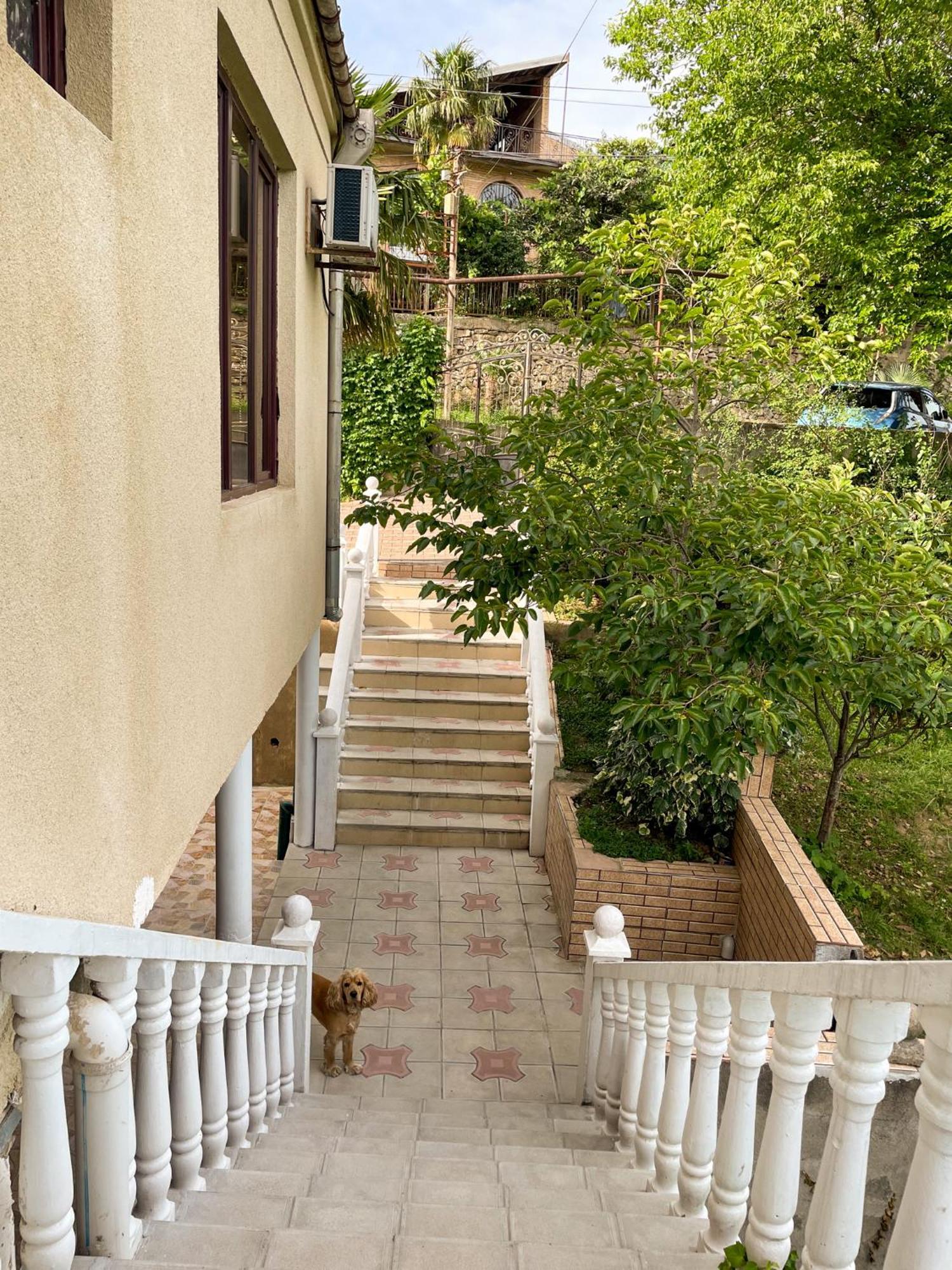 Hostel Kutaisi By Kote Extérieur photo
